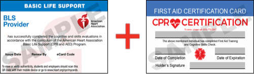 Sample American Heart Association AHA BLS CPR Card Certificaiton and First Aid Certification Card from CPR Certification Milwaukee