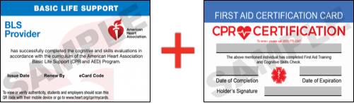 Sample American Heart Association AHA BLS CPR Card Certification and First Aid Certification Card from CPR Certification Delafield