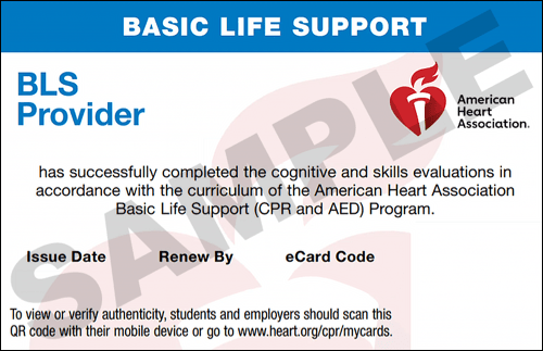 Sample American Heart Association AHA BLS CPR Card Certification from CPR Certification Milwaukee