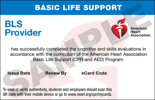 Sample American Heart Association AHA BLS CPR Card Certification from CPR Certification Summit