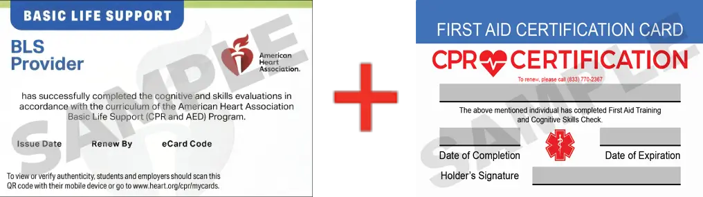 Sample American Heart Association AHA BLS CPR Card Certification and First Aid Certification Card from CPR Certification Milwaukee